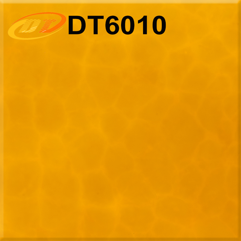 DT6010