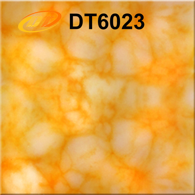 DT6023